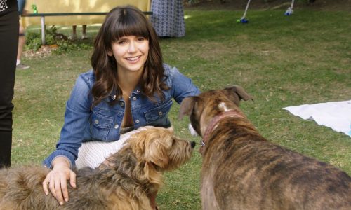 Nina Dobrev stars as "Elizabeth" in director Ken Marino's DOG DAYS, a LD Entertainment release. Credit : Jacob Yakob / LD Entertainment