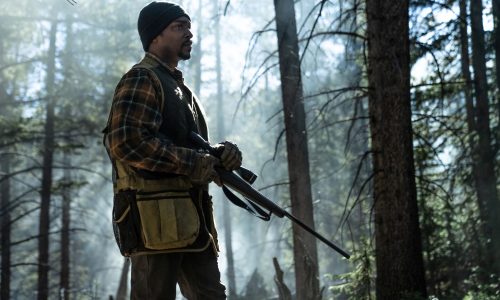 LÍNEA DE EXTINCIÓN